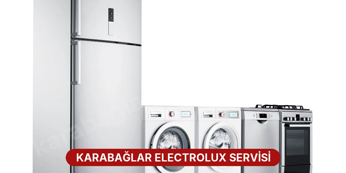 Karabağlar Electrolux Servisi