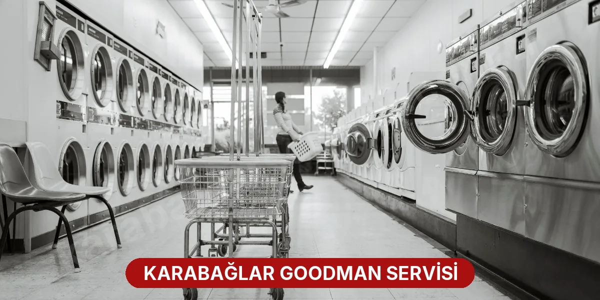 Karabağlar Goodman Servisi
