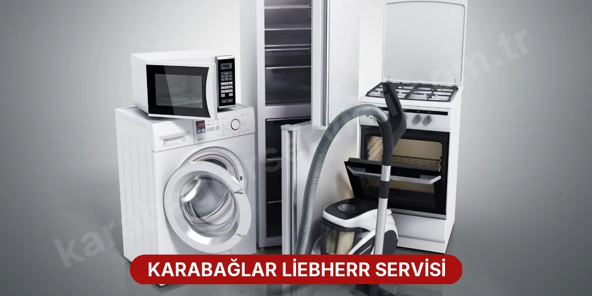 Karabağlar Liebherr Servisi